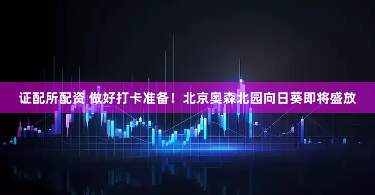 证配所配资 做好打卡准备！北京奥森北园向日葵即将盛放