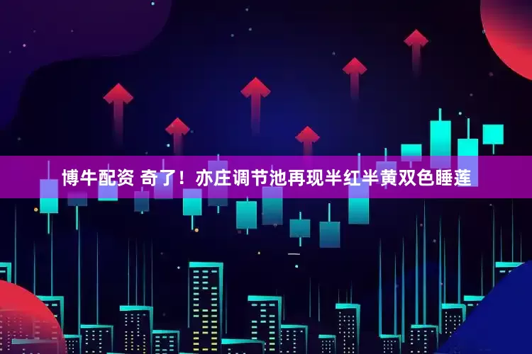 博牛配资 奇了！亦庄调节池再现半红半黄双色睡莲