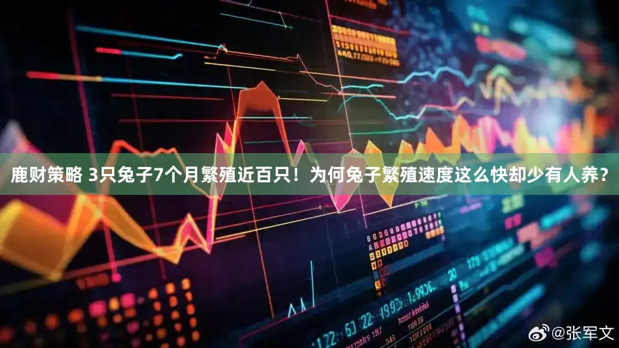 鹿财策略 3只兔子7个月繁殖近百只！为何兔子繁殖速度这么快却少有人养？