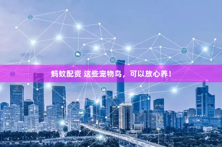 蚂蚊配资 这些宠物鸟，可以放心养！